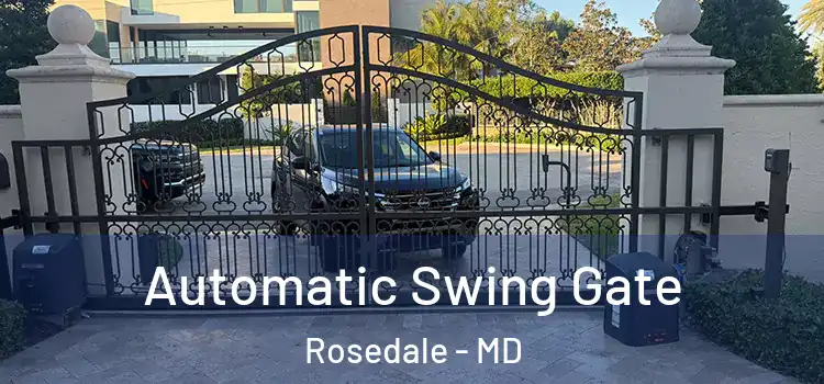  Automatic Swing Gate Rosedale - MD