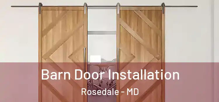  Barn Door Installation Rosedale - MD