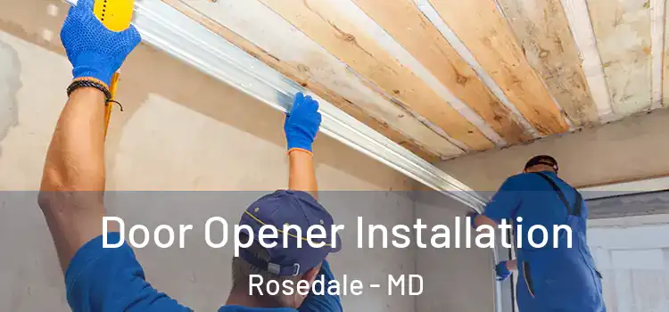 Door Opener Installation Rosedale - MD