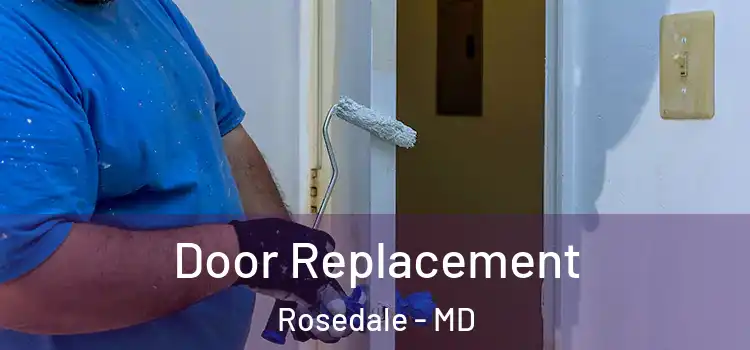  Door Replacement Rosedale - MD