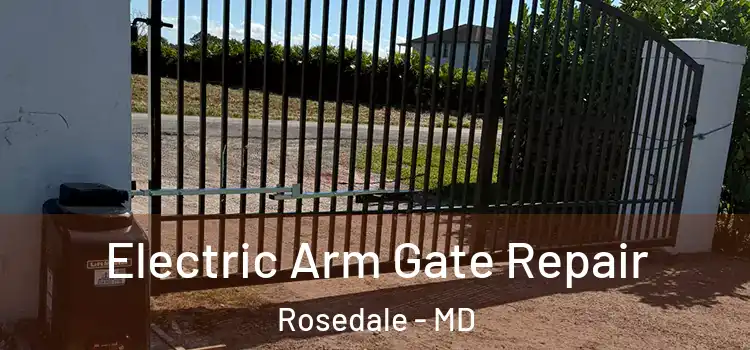  Electric Arm Gate Repair Rosedale - MD