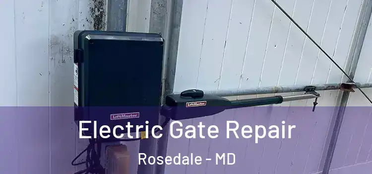  Electric Gate Repair Rosedale - MD