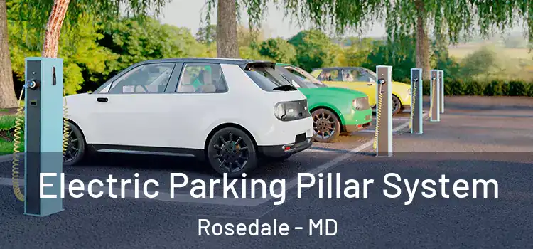  Electric Parking Pillar System Rosedale - MD