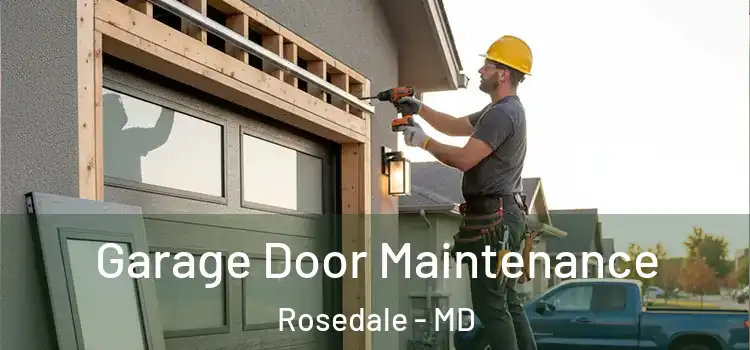  Garage Door Maintenance Rosedale - MD