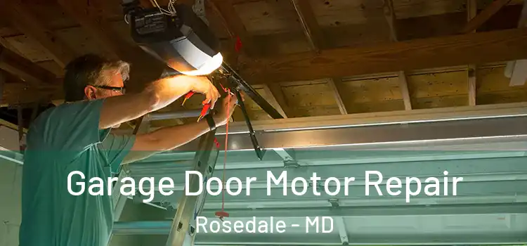  Garage Door Motor Repair Rosedale - MD