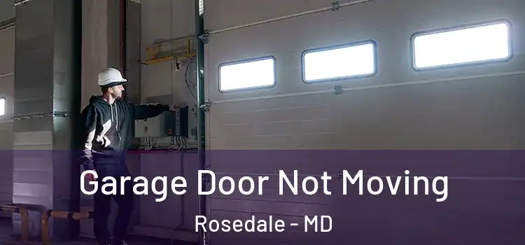  Garage Door Not Moving Rosedale - MD