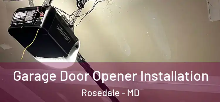  Garage Door Opener Installation Rosedale - MD