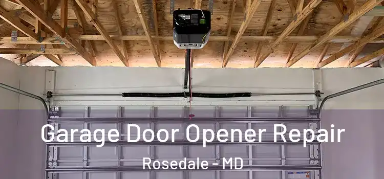  Garage Door Opener Repair Rosedale - MD