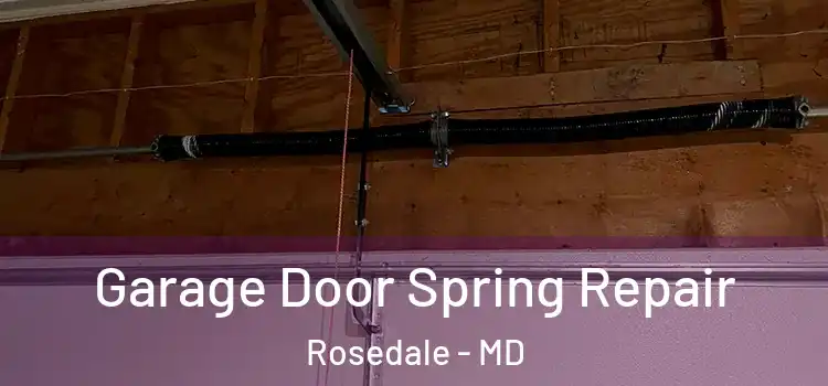  Garage Door Spring Repair Rosedale - MD