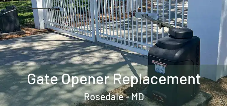  Gate Opener Replacement Rosedale - MD