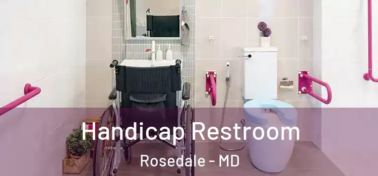 Handicap Restroom Rosedale - MD