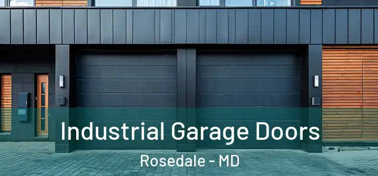  Industrial Garage Doors Rosedale - MD