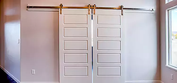 Glass Barn Door with Installation Hardware Kit Rosedale