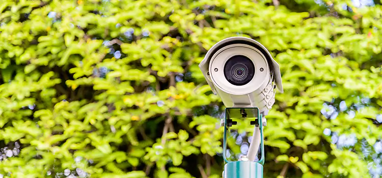 Advanced Surveillance Solutions for Every Need in Rosedale