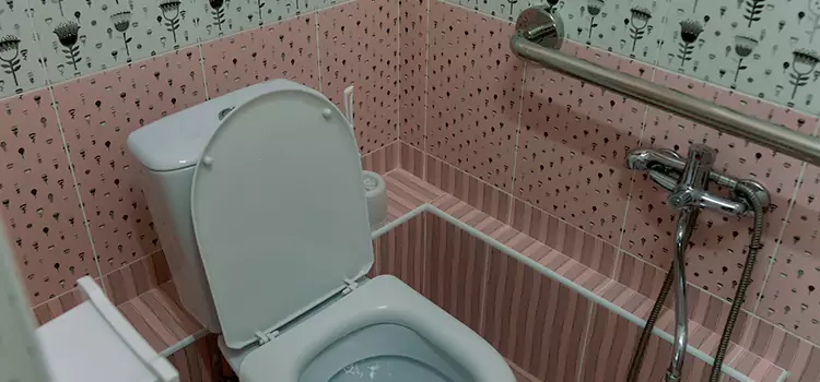 Meeting Diverse Needs With Accessible Restroom Solutions in Rosedale, MD