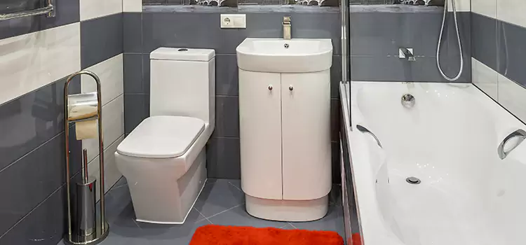 Hansgrohe Shaving Mirror Rosedale