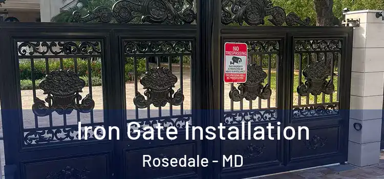 Iron Gate Installation Rosedale - MD