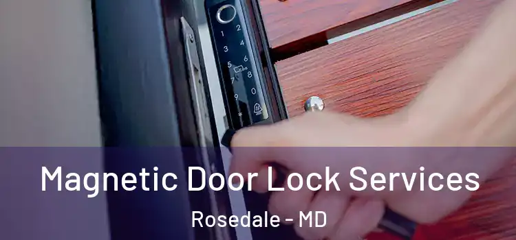 Magnetic Door Lock Services Rosedale - MD