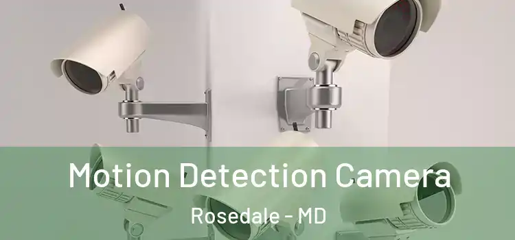  Motion Detection Camera Rosedale - MD