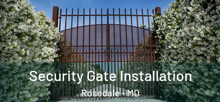  Security Gate Installation Rosedale - MD