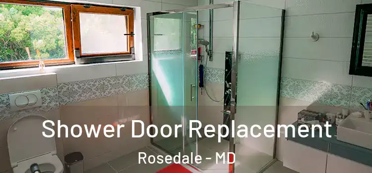  Shower Door Replacement Rosedale - MD