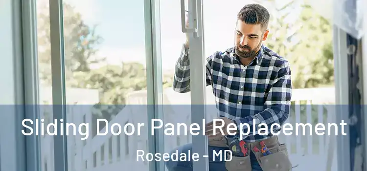  Sliding Door Panel Replacement Rosedale - MD